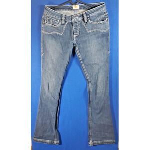 Antik Denim Flared Low Rise Jeans Womens Size 30 Button Fly Embroidered Blue